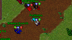 Pellinho on screen