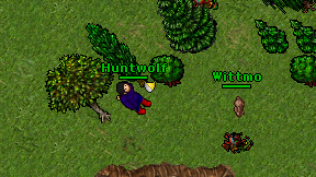 Huntwolf on screen