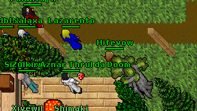 Hifevow on screen
