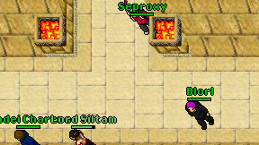 Seproxy on screen