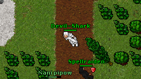 Devil-Shark on screen