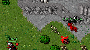 Elf Flavio on screen