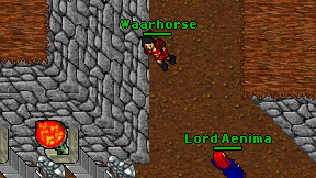 Waarhorse on screen