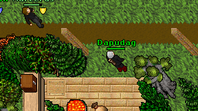Dapudag on screen