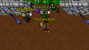 Maran Ilus on screen