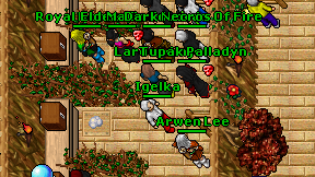 Igelka on screen