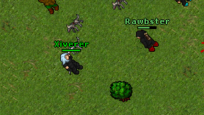Xiverer on screen