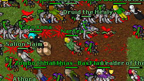 Narfea on screen