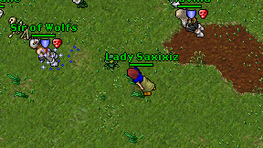 Lady Saxixiz on screen
