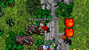 Aragon Kennobi on screen