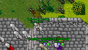 Lowczynka on screen