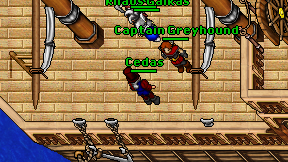 Cedas on screen