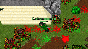 Catsoomoto on screen