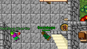 Sozidego on screen