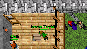 Steve Taylor on screen