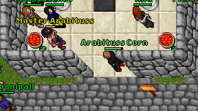 Arabituss Corn on screen