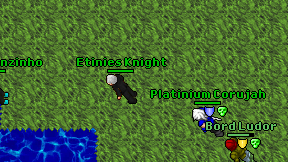 Etinies Knight on screen