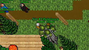 Pupinus on screen