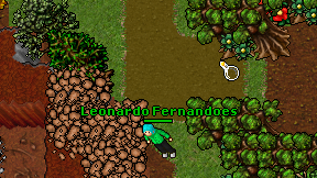 Leonardo Fernandoes on screen
