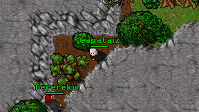 Capataiz on screen