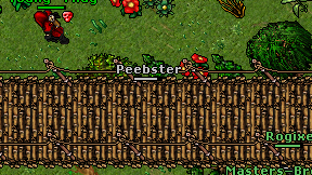 Peebster on screen