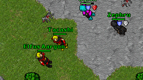 Tacashi on screen