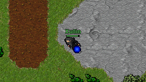 Xulin on screen