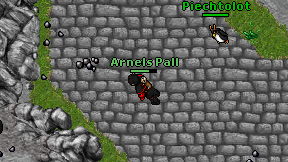 Arnels Pall on screen