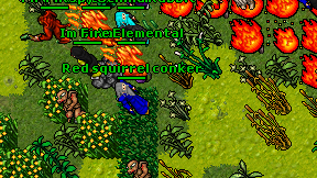 Red squirrel conker on screen