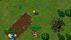 Luipolo on screen