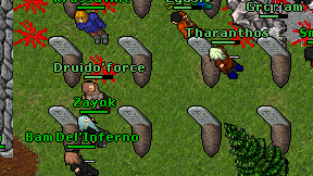 Druido'force on screen