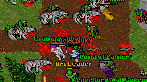 Lucky muky on screen