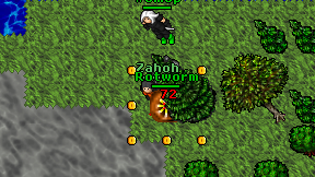 Zahoh on screen