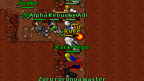 Roee on screen