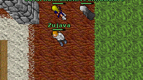 Zujava on screen