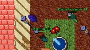 Bofedojo on screen