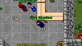 Fiyr Shadow on screen