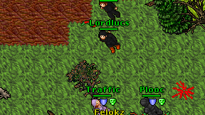 Lordlucs on screen