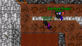 Buixa on screen