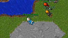 Experienz on screen