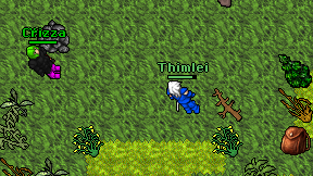 Thimlei on screen