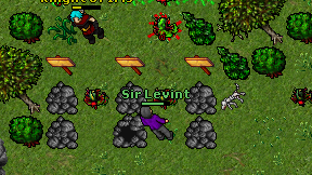 Sir Levint on screen