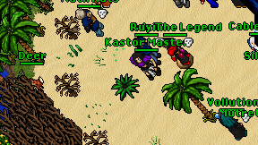 Kastor Master on screen