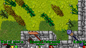 Hastzao on screen