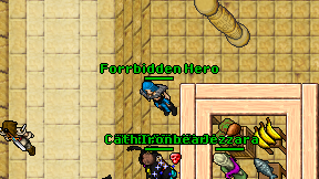 Forrbidden Hero on screen