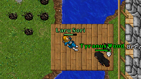 Laru Sori on screen