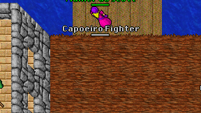 Capoeiro Fighter on screen