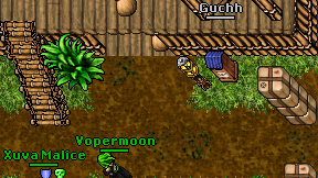 Guchh on screen