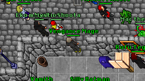 Vengance Mage on screen
