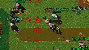 Kaamila on screen